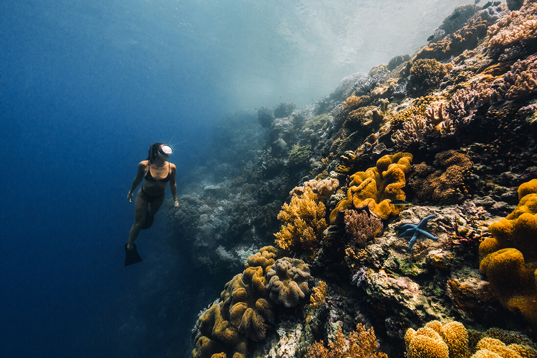 Dive and snorkel in lava-formed coral gardens